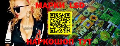 спиды Моздок