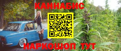 спиды Моздок