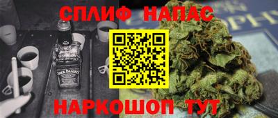 спиды Моздок