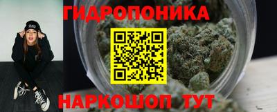 ПСИЛОЦИБИНОВЫЕ ГРИБЫ Можга