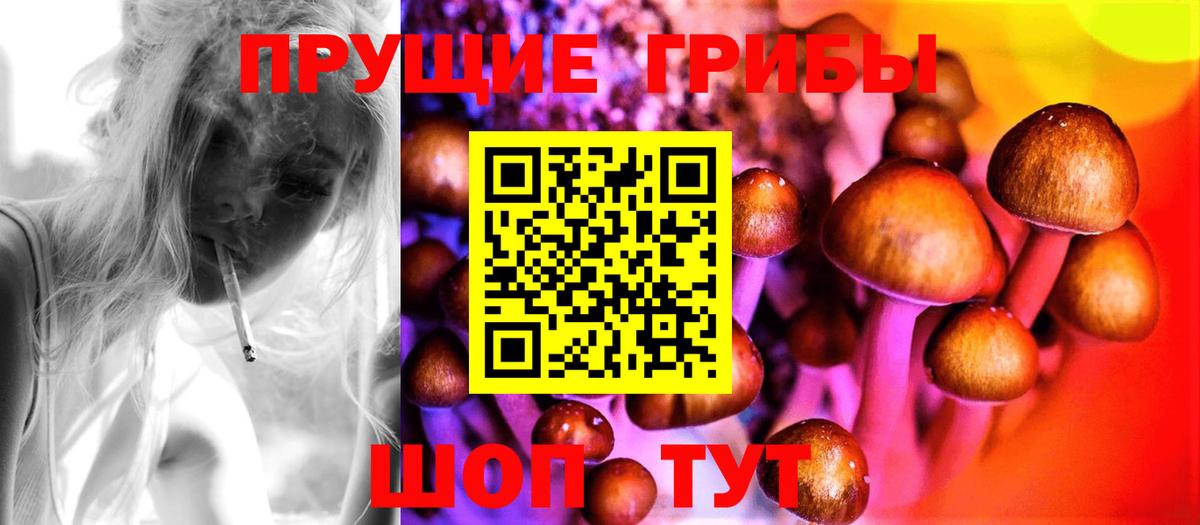 Псилоцибиновые грибы Psilocybine cubensis Гуково